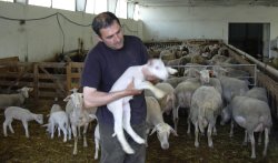 chambres hotes le cros en haute-loire, 43, proche des gorges de l'Allier, la Margeride, le mont Mouchet